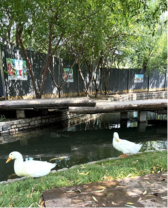 古三里河：京城藏着的“小江南”与浮生闲