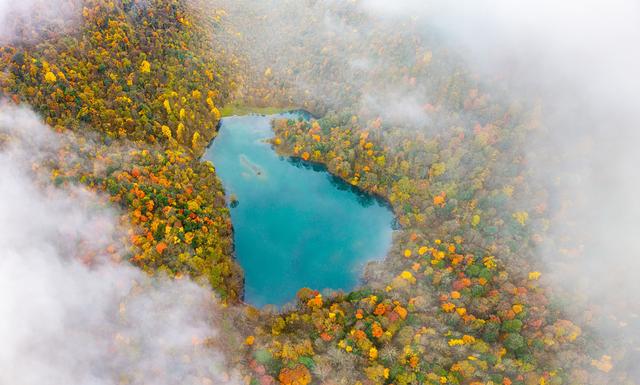 四川石棉县拖乌山：初冬时节的多彩绝唱