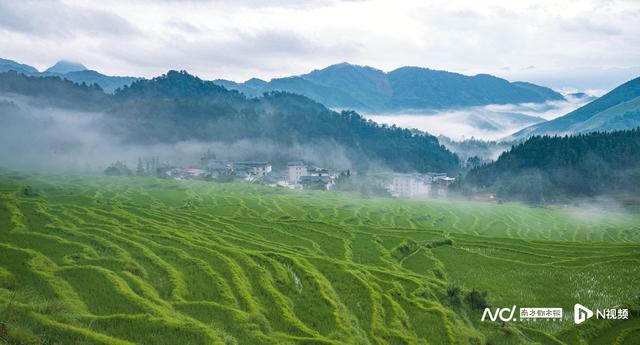 这配色绝了！撞见清远连山现实版《千里江山图》的青绿长卷