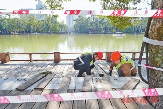 西湖环湖木栈道修缮工程启动