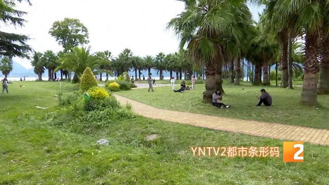 巨型稻草人、睡美人稻海等太出片了！昆明这个宝藏景点越来越美！