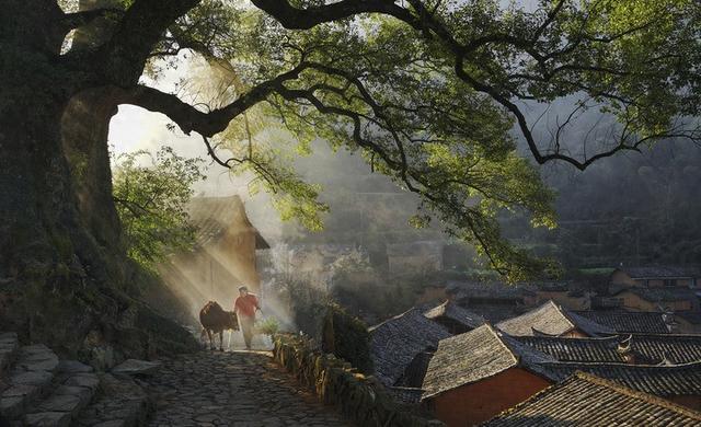 在丽水，看见诗画中国