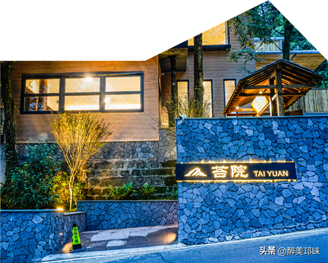100个美梦丨在天台山云雾深处，藏着一处会呼吸的苔藓秘境