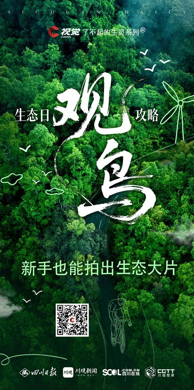 C视觉·了不起的生灵（82）生态日特辑｜这份成都观鸟攻略 新手也能拍出生态大片