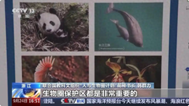 仿生机器鱼、全物种识别App 科技元素助力世界生物圈保护
