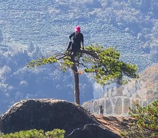 “红帽女”爬上山顶松树拍照打卡？浙江马岭风景区：已加强管理
