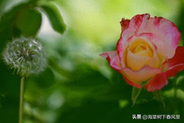 为什么中国有很多家庭父母与子女关系最后都成为了彼此的仇人呢？