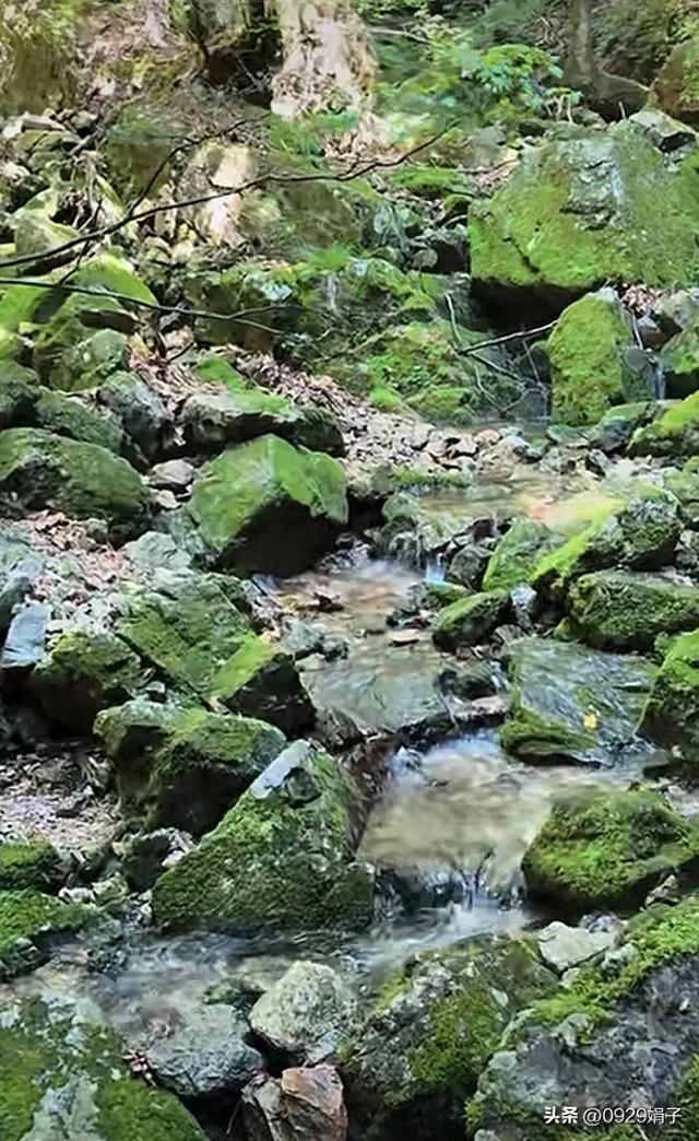 只见山水,不恋家