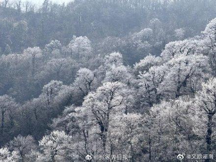 张家界天门山雾凇上线