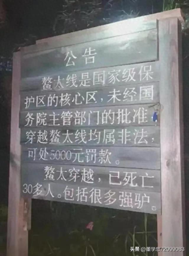 震惊！挑战鳌太线的节果告诉了人们什么？