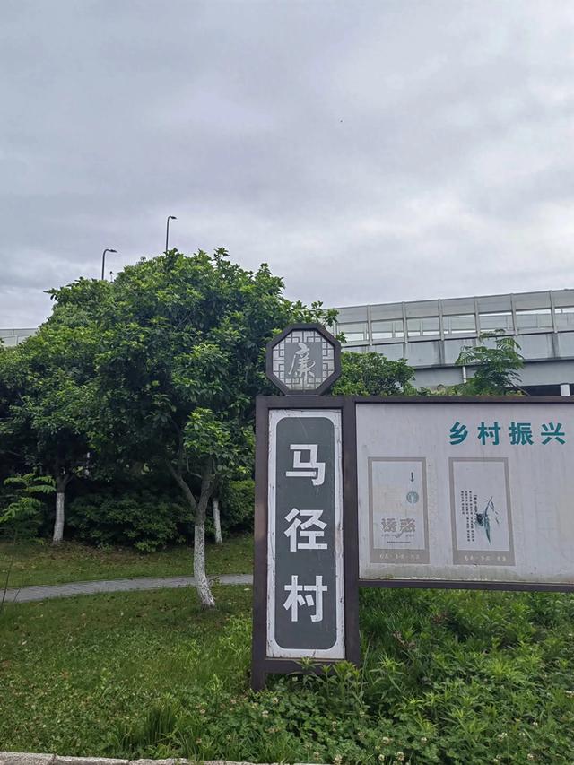 游宁波庄桥街道马径村