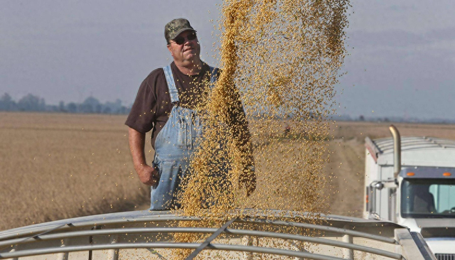 蓄意报复？巴西大豆疯涨80%，被中方下达逐客令，巴急查中国无纺布