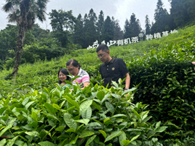 川渝25名专家齐聚乐山 为建设世界重要旅游目的地献智出力