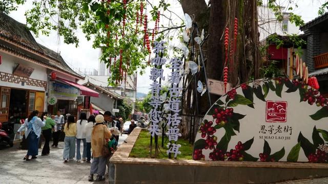 普洱思茅:茶咖空间里的文旅新体验 助力暑期旅游持续升温 | 有一种叫云南的生活
