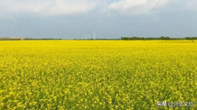 遗鸥之乡康保 四季风景美如画