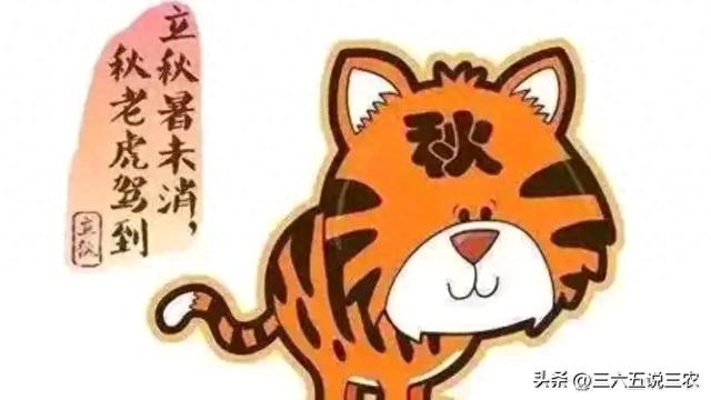 “秋老虎猛不猛，就看末伏”，今日末伏，今年秋老虎会很凶吗？