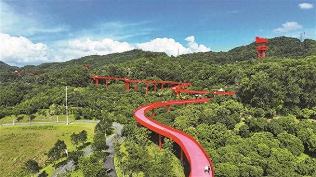 来深圳光明赴光影之约 请收好吃住玩购指南