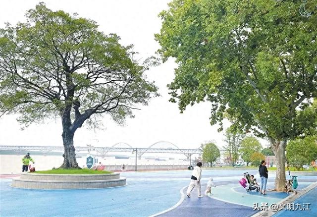 【文明旅游】让文明之花绽放在浔阳江畔