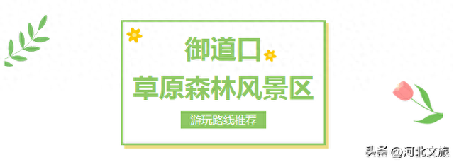 御道口草原森林风景区游玩路线推荐！