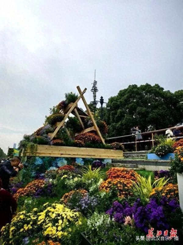 武汉地标纷纷“入景”金秋菊展
