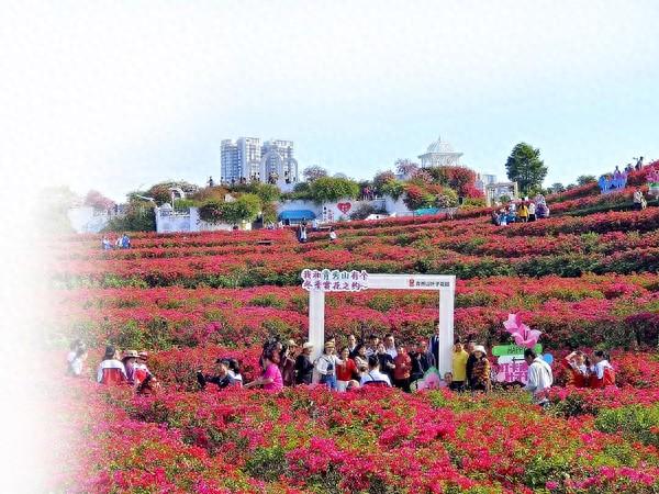 南宁诚邀全国“候鸟”游客共赏繁花绿意