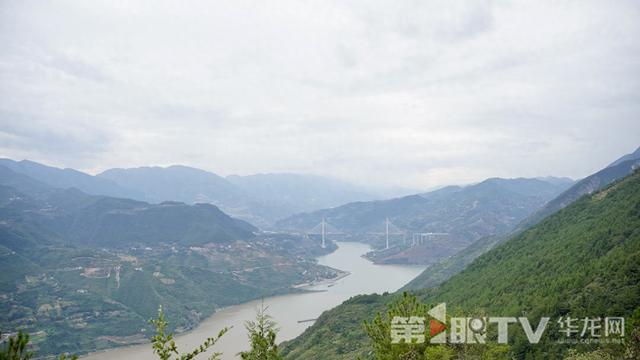 惟实笃行 重庆争先④｜山水之城“绿动能”