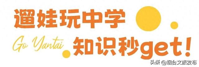 【乐游烟台】新晋遛娃地，烟台这家自然乐园超好玩