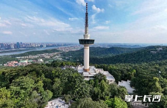 即将上新!岳麓山上见!