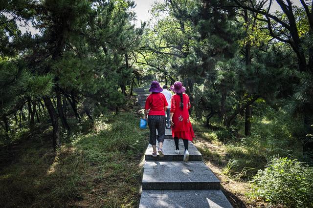 “山东邂逅美”摄影大赛｜烟台开花石：登山徒步打卡地