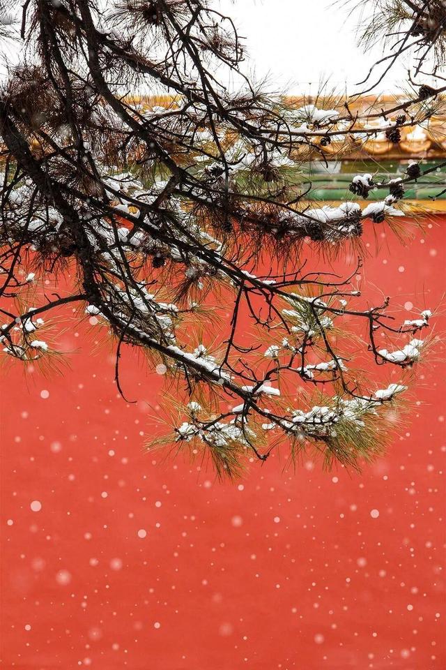 ❄❄❄瑞雪至 故宫雪景“大片	”又上新了