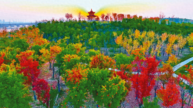 冬日美景 如梦如幻