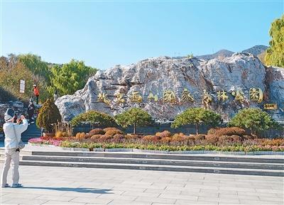 北京西山国家森林公园：“双红”交织绘就文旅新图景