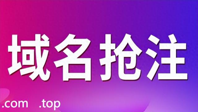 如何在抢注域名平台上保护自己的域名权益（域名被抢注了怎么办）