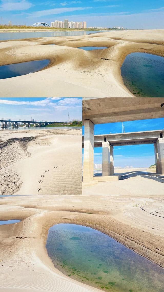 免费看“城市沙漠”！武汉天兴洲冬日限定美景即将现身！预约入口+进洲攻略→