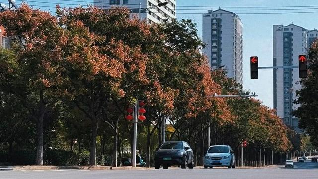 记者实拍！肥城五彩斑斓的景色，每一帧都是写给秋日的情书~