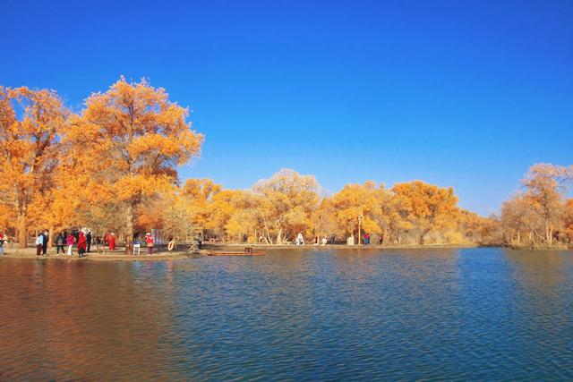 酒泉金塔胡杨林，时光凝固成美丽的神话，奔赴一场秋季的浪漫之旅