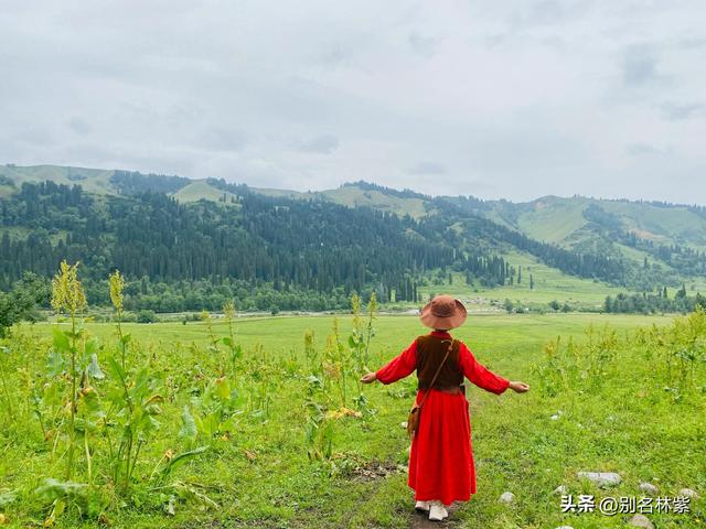 解锁库尔德宁，新疆伊犁的“天然氧吧”，60元门票太值了（6）
