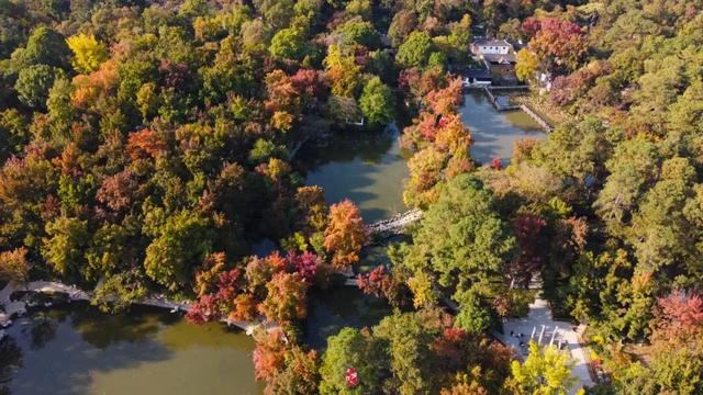 抓住秋天的尾巴!出发苏州这5个赏秋圣