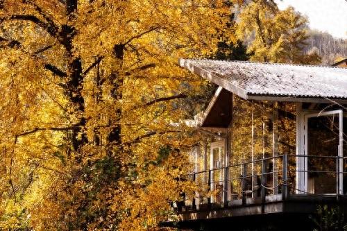 随州银杏谷旅游度假区“金秋畅游季”正式启幕