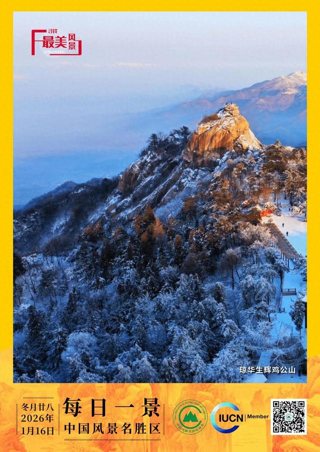 每日一景 | 琼华生辉鸡公山