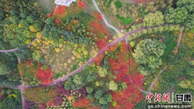 武威有意思 | 凉州天马湖畔 赏一季鎏金 品岁月安然