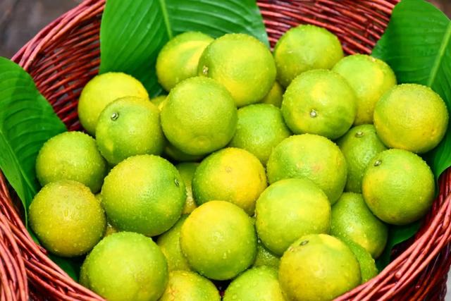 琼中绿橙旅游季 在山水间 遇见最暖的秋冬时光（完整攻略版）