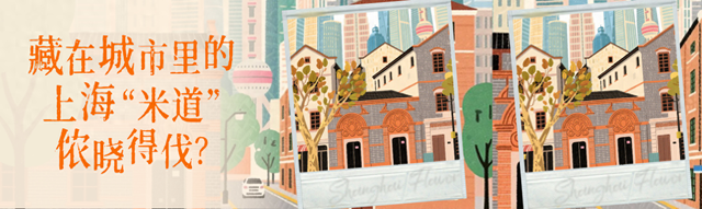 迎进博消费嘉年华丨“菜肉馄饨”煮出弄堂烟火，其实这些地方也藏着上海“米道”！