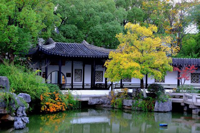 大公图书馆丨秋日里的诗意庭园