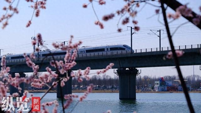 “开往春天的列车” 解锁春日限定版浪漫，滹沱河生态艺术岛春日赏花季3月15日开幕