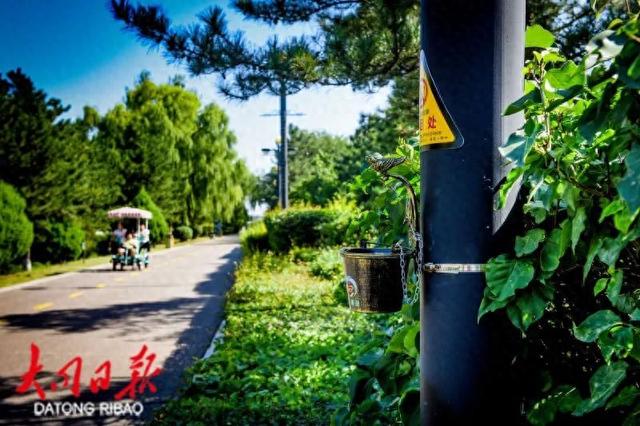 大同文瀛湖风景区，100个悬挂式烟头收集器“上岗”