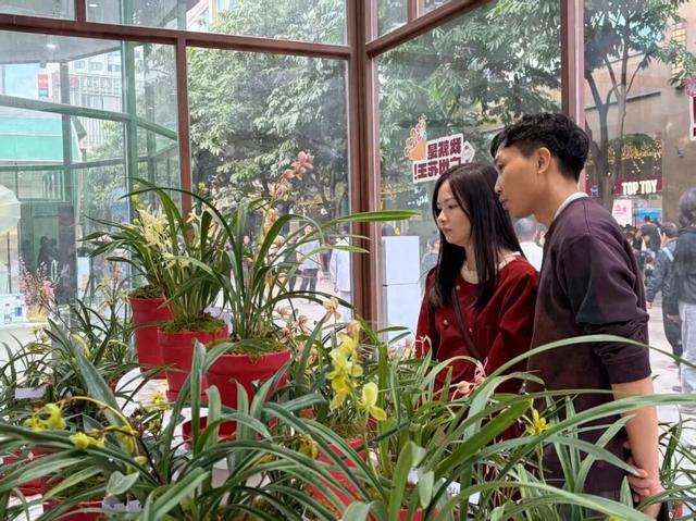 以兰为媒，龙岩连城深化广龙对口合作！