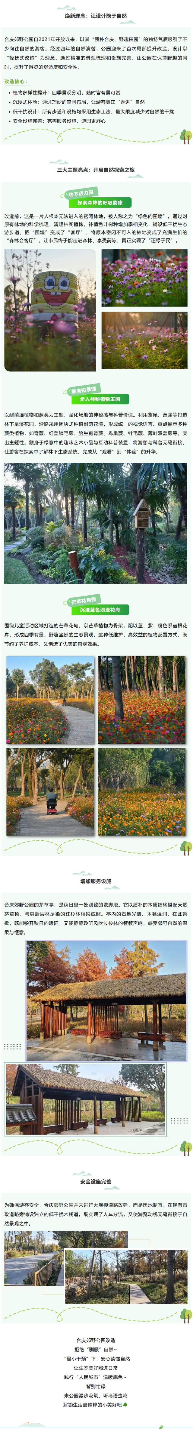 野趣值拉满！合庆郊野公园焕新归来，等你来探→