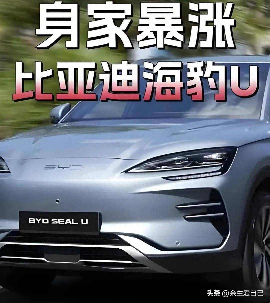 比亚迪海豹U欧洲销量_比亚迪_宋PLUS Seal U欧洲市场表现