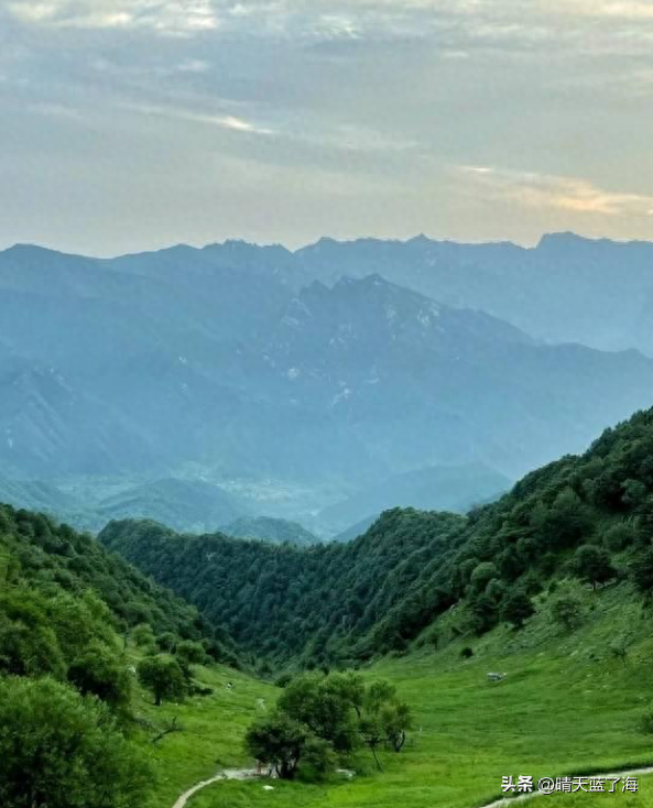 秦岭其他山头去不了，华阳草甸可以啊，一起去陕西版的阿勒泰吧！